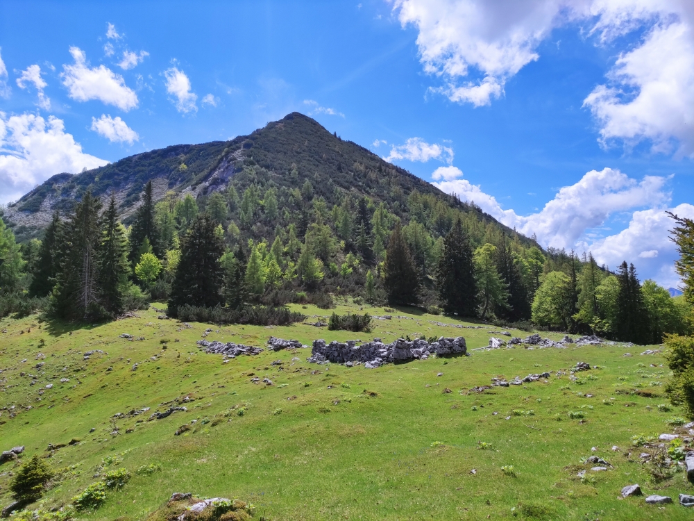 Klettersteig Feuerkogel-Abstieg über Kaiserweg: Klettersteig Feuerkogel-Abstieg über Kaiserweg: Hintere Spitzalm