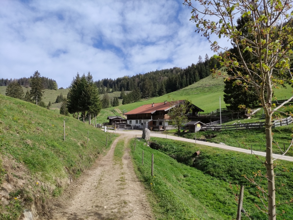 Wanderung Pasterkopf: Wanderung Pasterkopf: Hintermoar-Alm