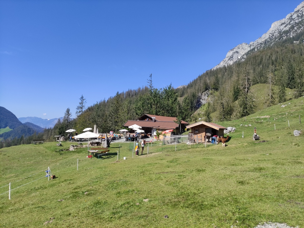 Wanderung Seilabodenkreuz: Wanderung Seilabodenkreuz: Hinterschießlingalm