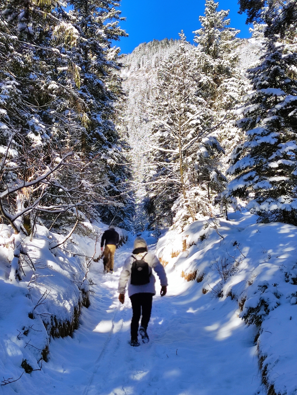 Wanderung Hirschbichel: Unten Kartenweg