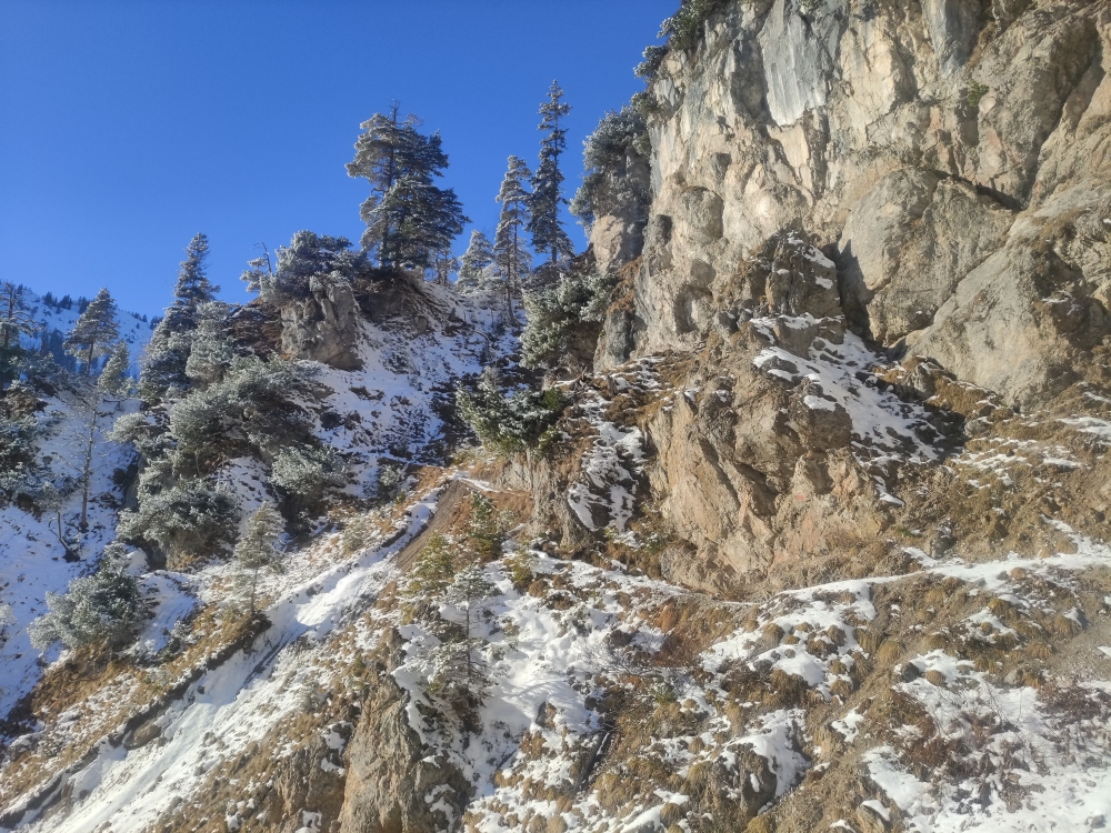 Wanderung Hirschbichel: Weg