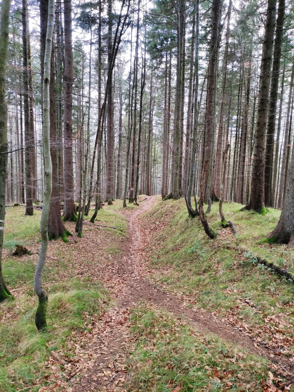 Wanderung Hirschgröhrkopf: Abstieg von P.1173