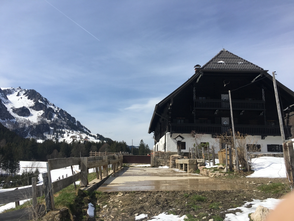 Wanderung Scheichenberg von Blickner Alm: Wanderung Scheichenberg von Blickner Alm: Hocherbalm mit dem Hochfelln im Hintergrund