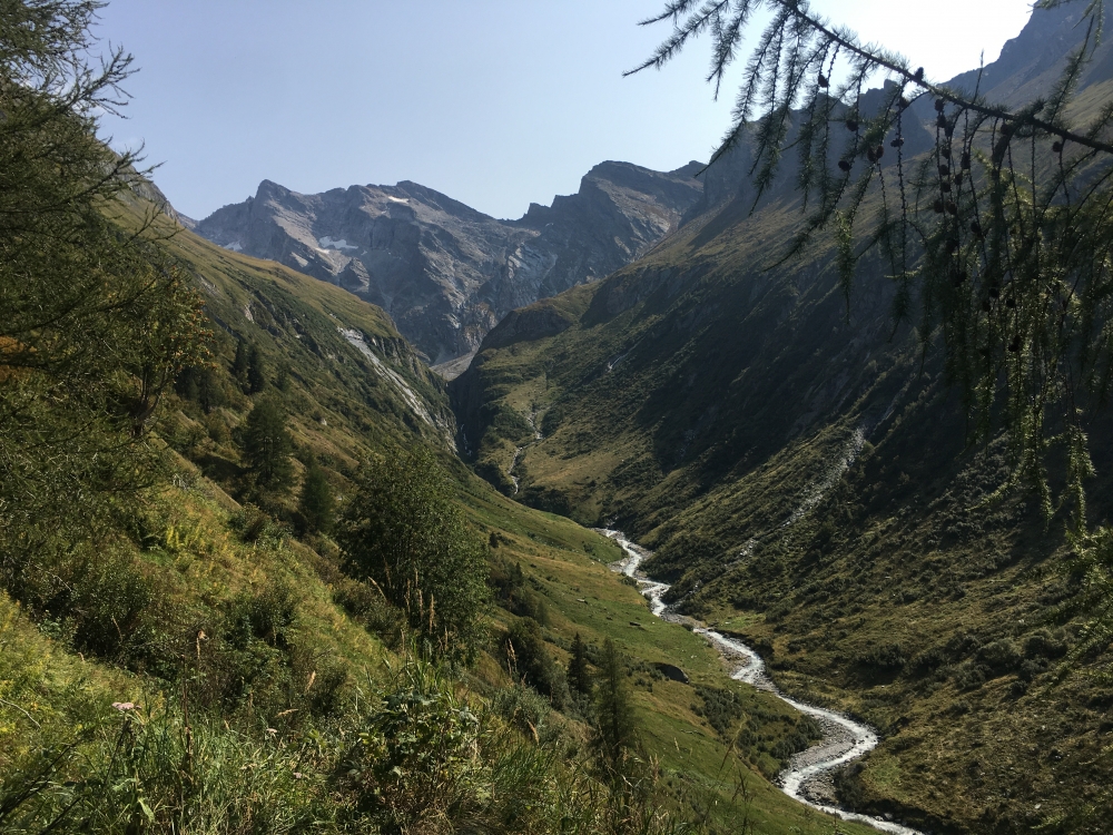 Wanderung Hochfeiler: Links über dem Unterbergbach verläuft der Weg