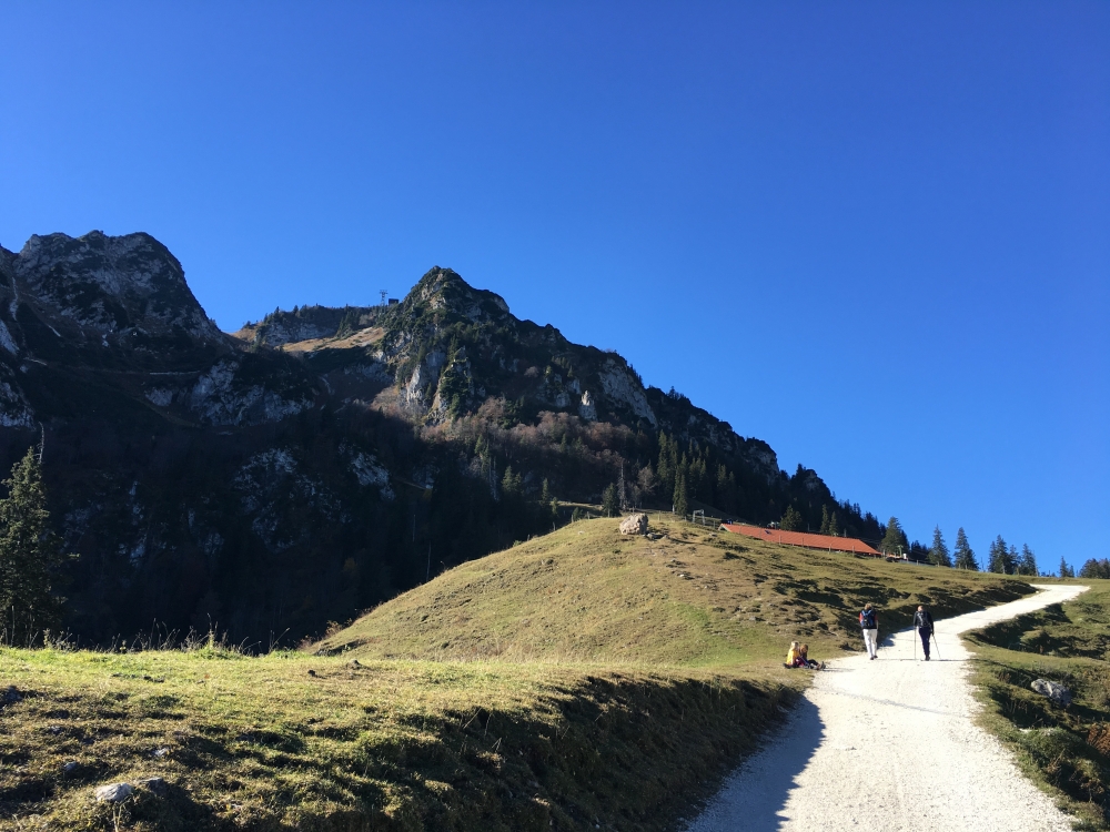 Wanderung Bründlingalm: Forststraße zur Bründlingalm