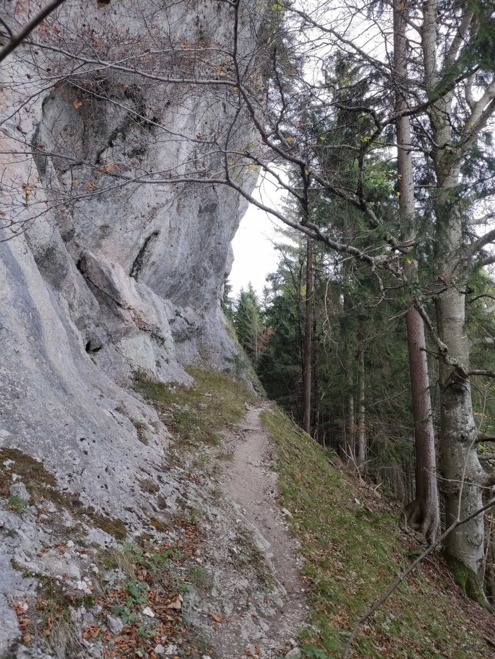 Wanderung Hochfelln über Strohnschneid: Unterhalb des Haßlberg