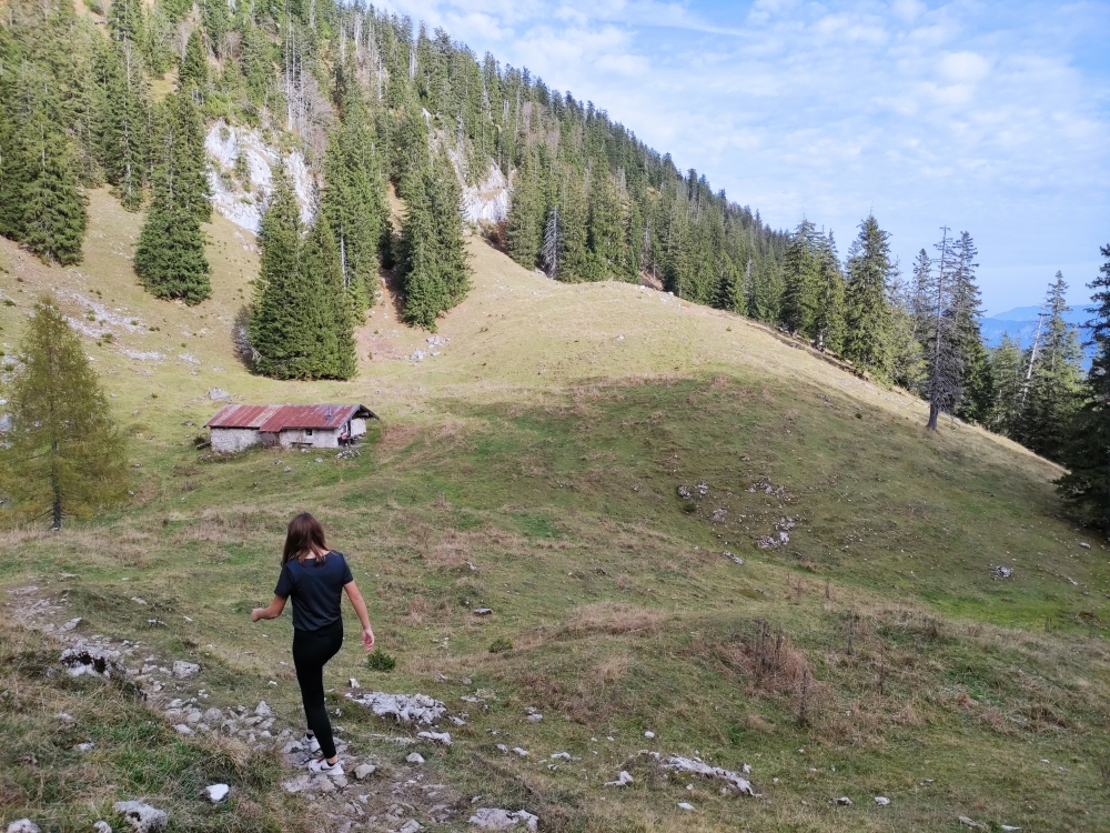 Wanderung Hochfelln über Strohnschneid: An der Fellnalm vorbei