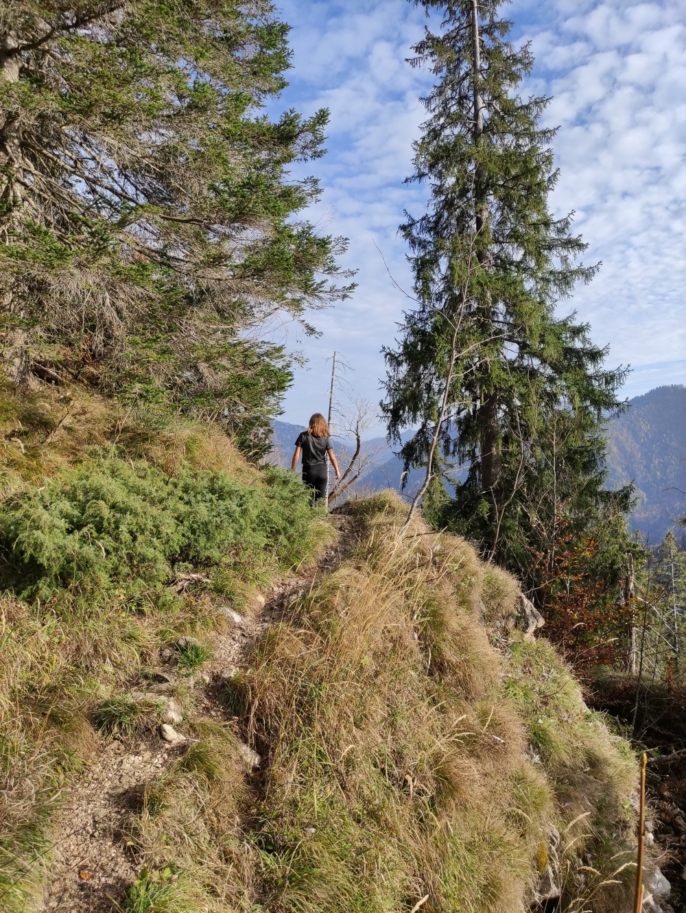 Wanderung Hochfelln über Strohnschneid: Auf dem E4