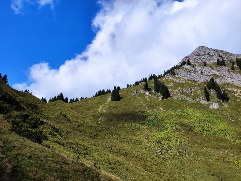 Wanderung Gaichtspitze bis Schneidspitze: Wanderung Gaichtspitze bis Schneidspitze: Das Hochjoch unter der Schneidspitze