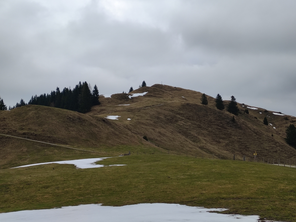 Wanderung Brennkopf: Zum Gipfel