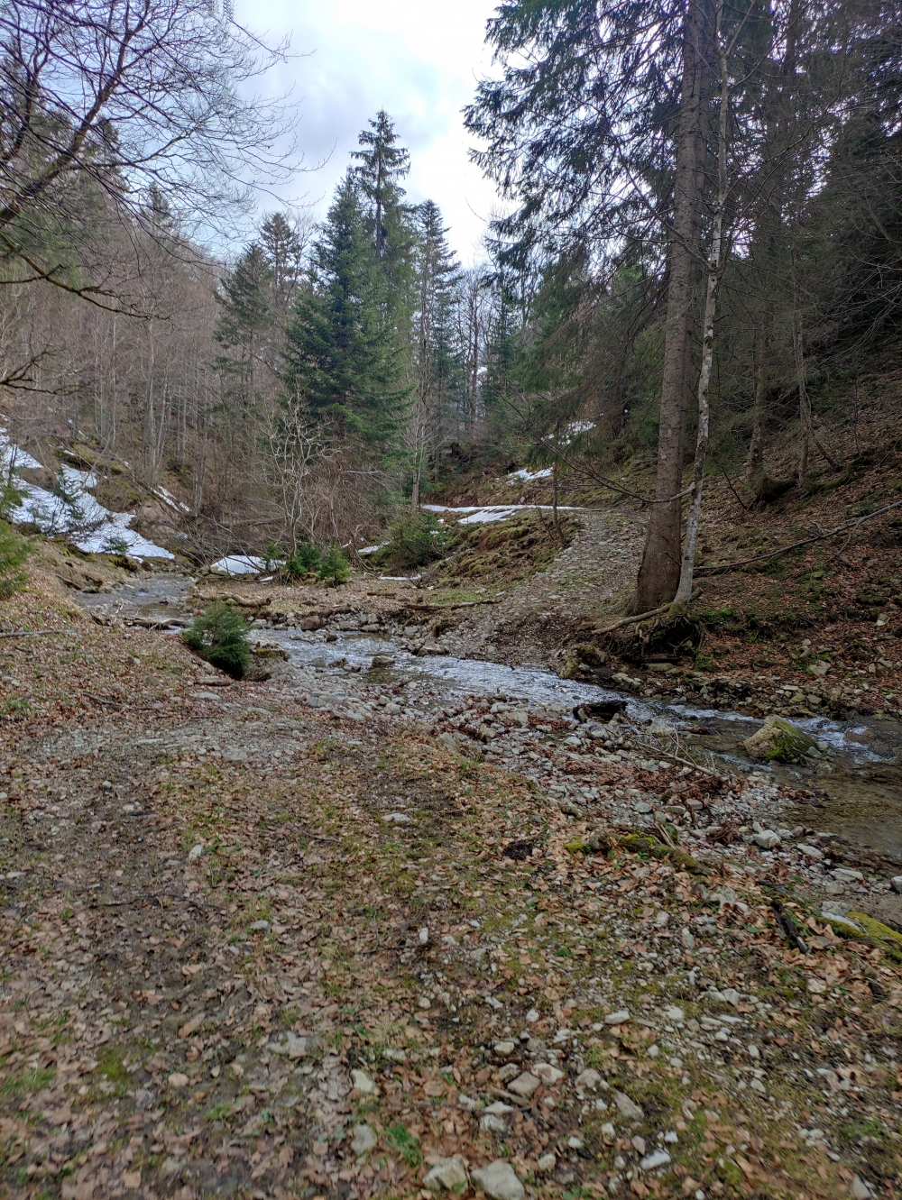 Wanderung Hochköpfl: Durch den Bach