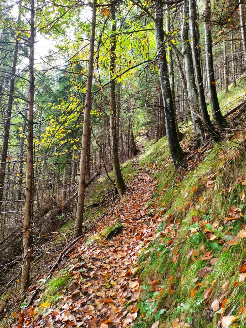 Wanderung Hochplatte und Friedenrath: Hausleitensteig