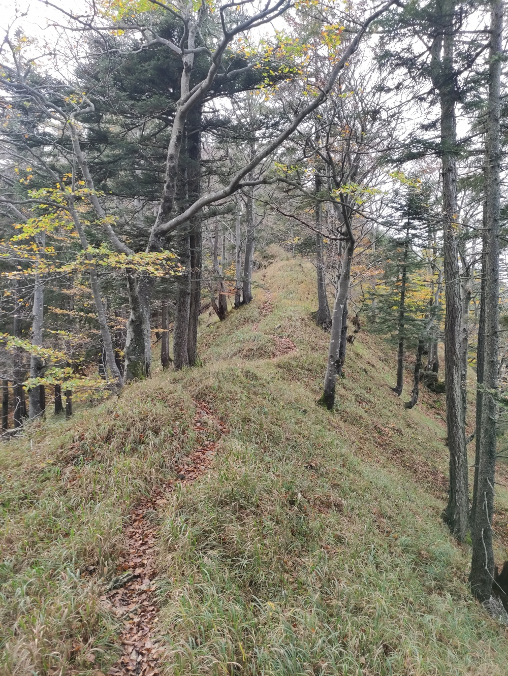 Wanderung Hochplatte und Friedenrath: Ostaufstieg