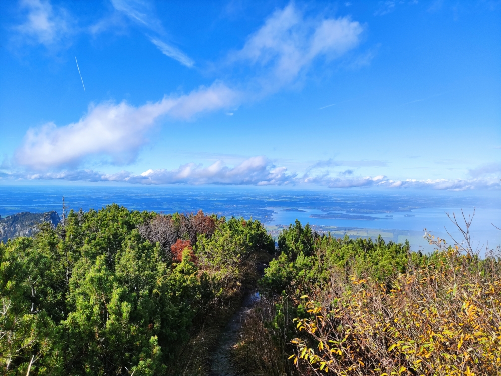 Wanderung Hochplatte und Friedenrath: Abstieg durch die Latschengasse