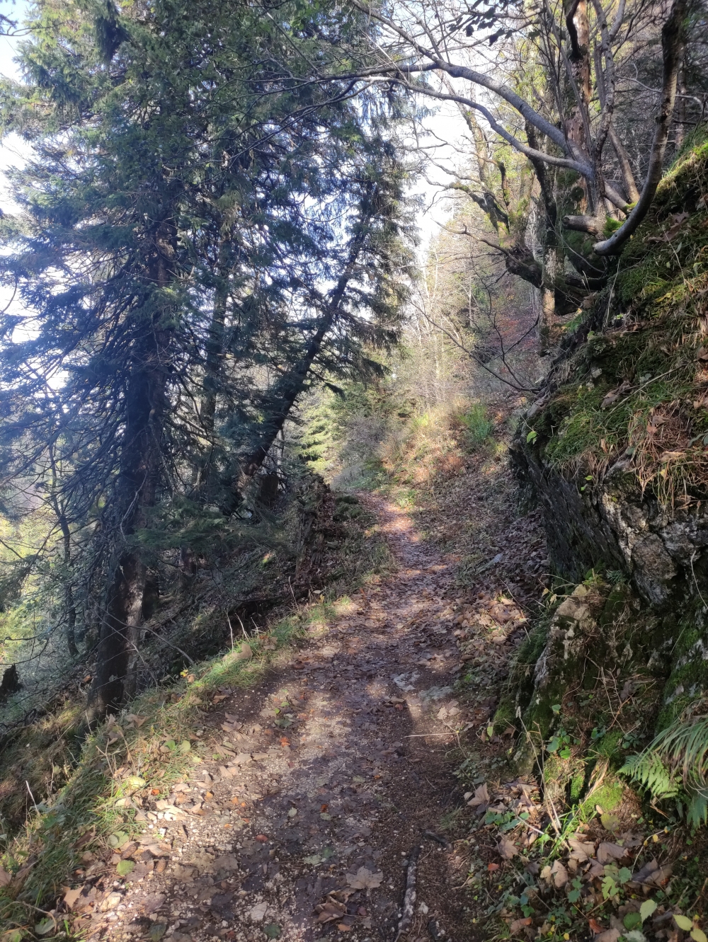 Wanderung Hochplatte und Friedenrath: Weg