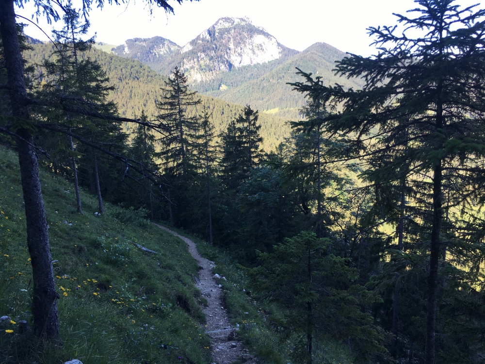 Wanderung Hochsalwand über Lechnerkopf: Niggl-Steig
