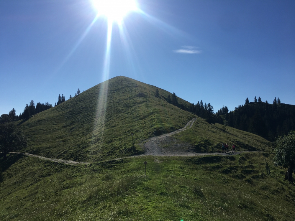 Wanderung Hochsalwand über Lechnerkopf: Wanderung Hochsalwand über Lechnerkopf: Die letzten Meter zum Gipfel (Mitterberg)
