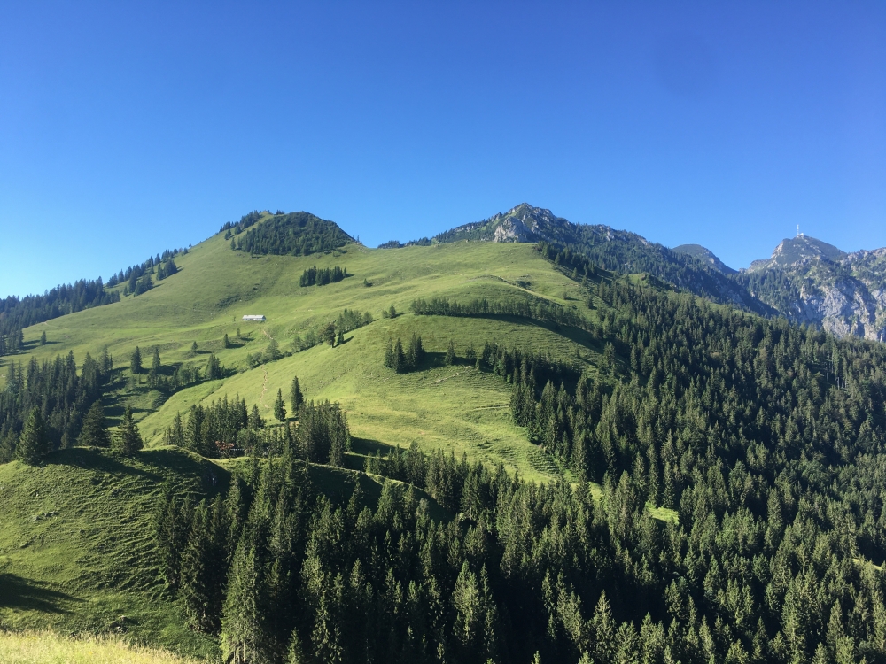 Wanderung Hochsalwand über Lechnerkopf: Wanderung Hochsalwand über Lechnerkopf: Blick vom Mitterberg (Rampold Alm)