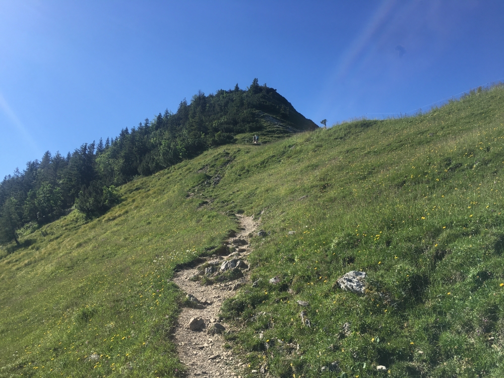Wanderung Hochsalwand über Lechnerkopf: Zwischen Rampoldalm und Gipfel