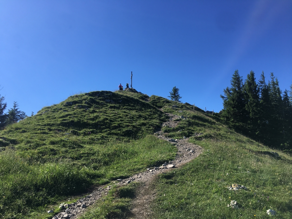 Wanderung Hochsalwand: Wanderung Hochsalwand: Die letzten Meter zum Gipfel (Rampoldplatte)