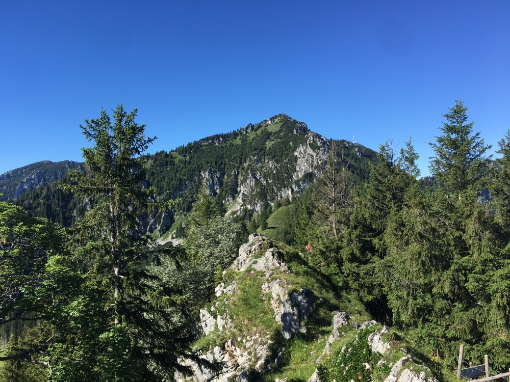 Wanderung Hochsalwand: Wanderung Hochsalwand: Blick auf die Hochsalwand von der Rampoldplatte