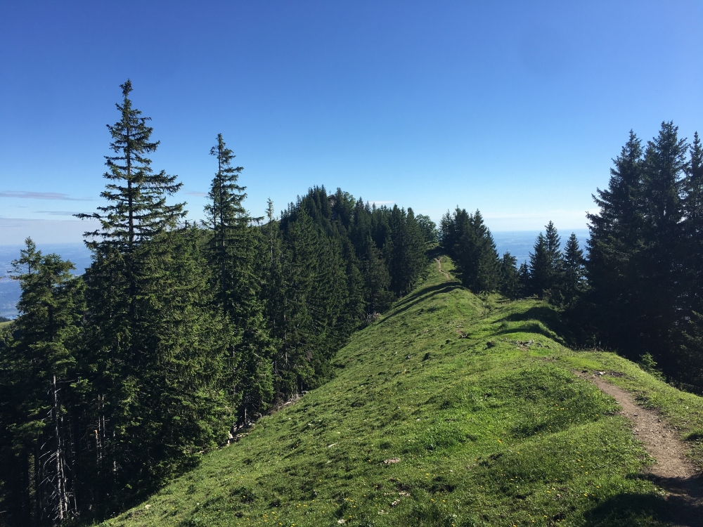 Wanderung Hochsalwand über Lechnerkopf: Zwischen Rampoldplatte und Lechnerkopf