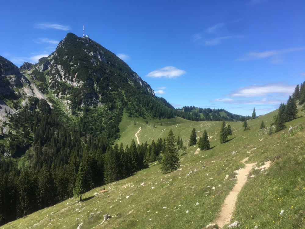 Wanderung Hochsalwand: Von der Hochsalwand zur Reindler Alm