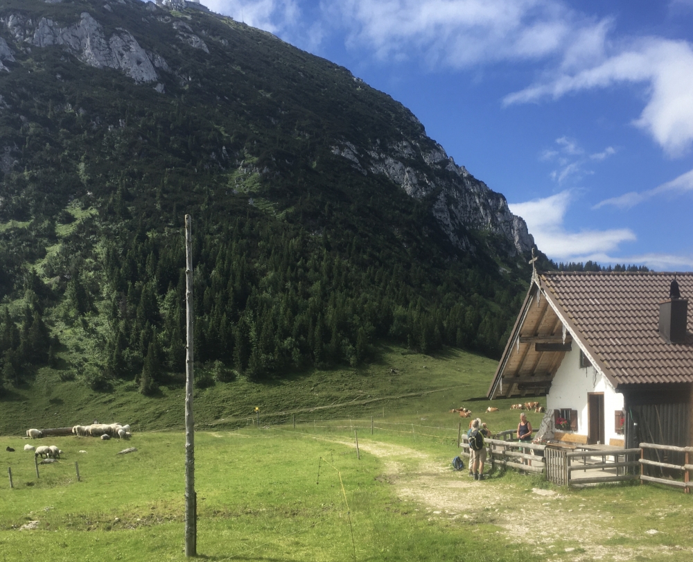 Wanderung Hochsalwand: Wanderung Hochsalwand: Getränkestopp auf der Reindler Alm