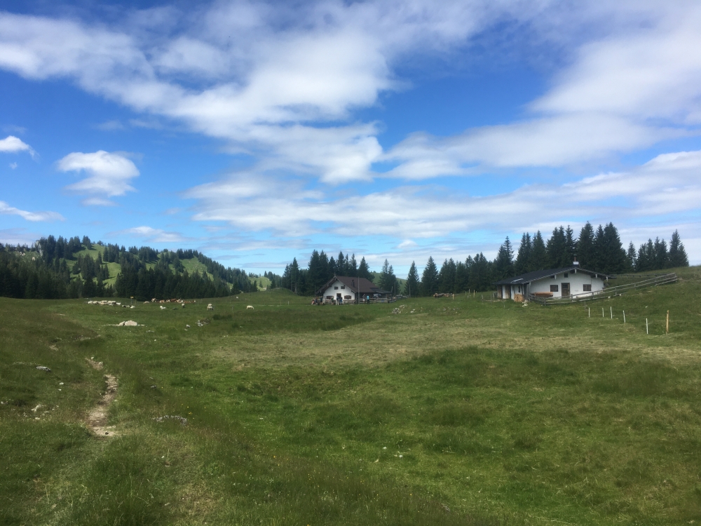 Wanderung Hochsalwand: Wanderung Hochsalwand: Reindler Alm