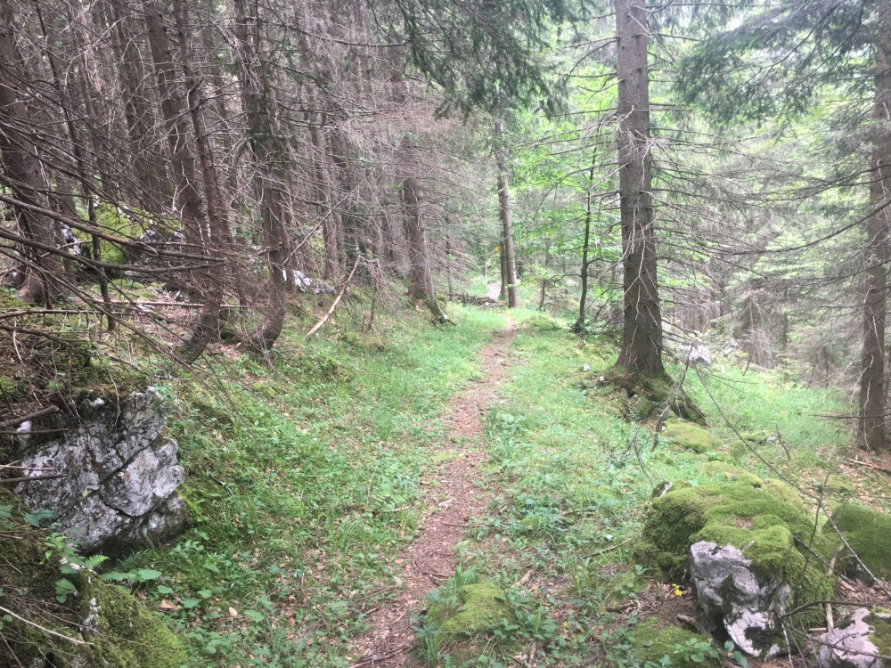 Wanderung Hochsalwand über Lechnerkopf: Vergessene Pfade