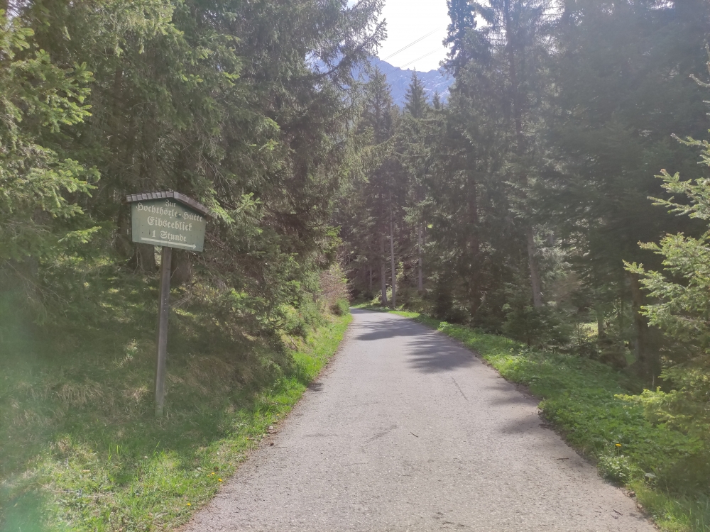 Wanderung Hochthörlehütte: Die Teerstraße führt bis zur Hütte 