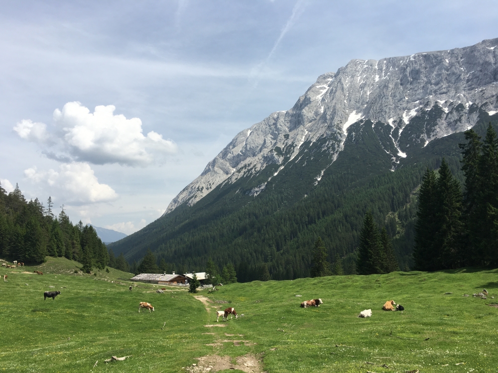 Wanderung Hochwanner: Blick auf die Gaistalalm mit Hohe Munde Westgipfel und Hohe Munde Ostgipfel