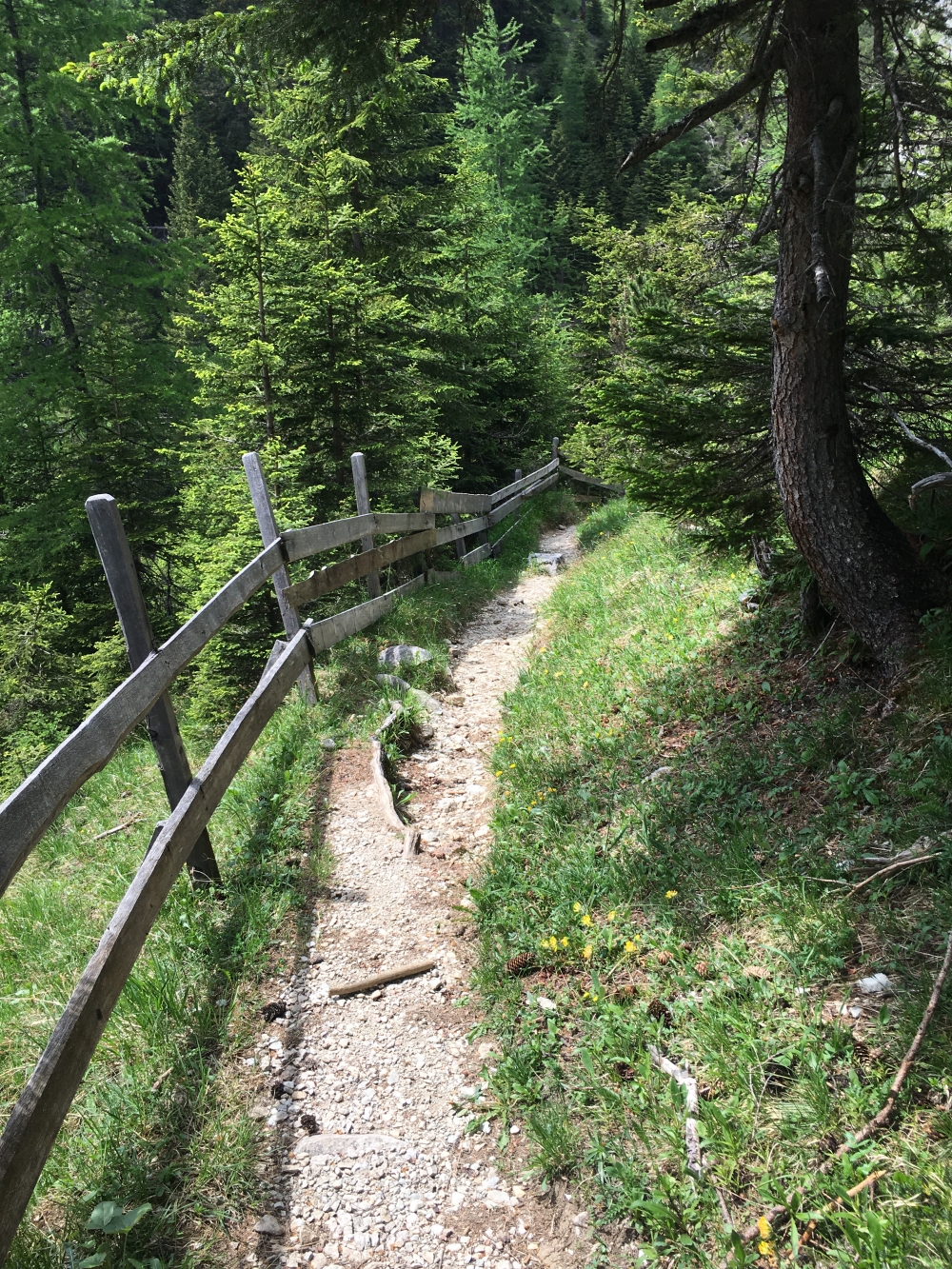 Wanderung Hochwanner: Leicht zu gehender Pfad