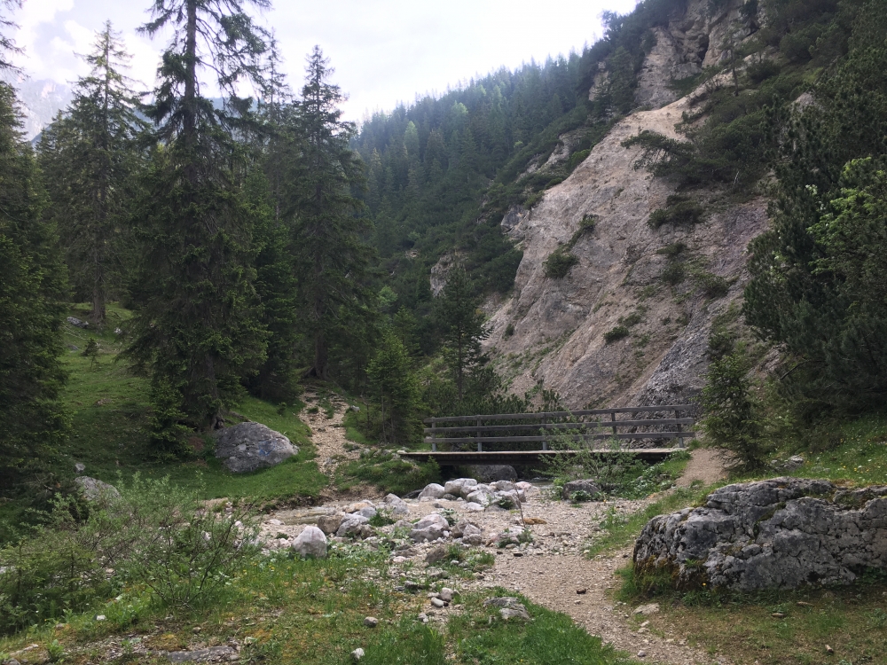 Wanderung Hochwanner: Im Mittelstück ein netter Pfad zwischen zwei Forststraßen-Hatschern