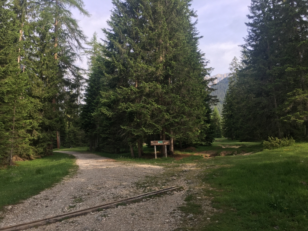 Wanderung Hochwanner: Gemächlicher Start vorbei am Abzweig zur Hämmermood Alm