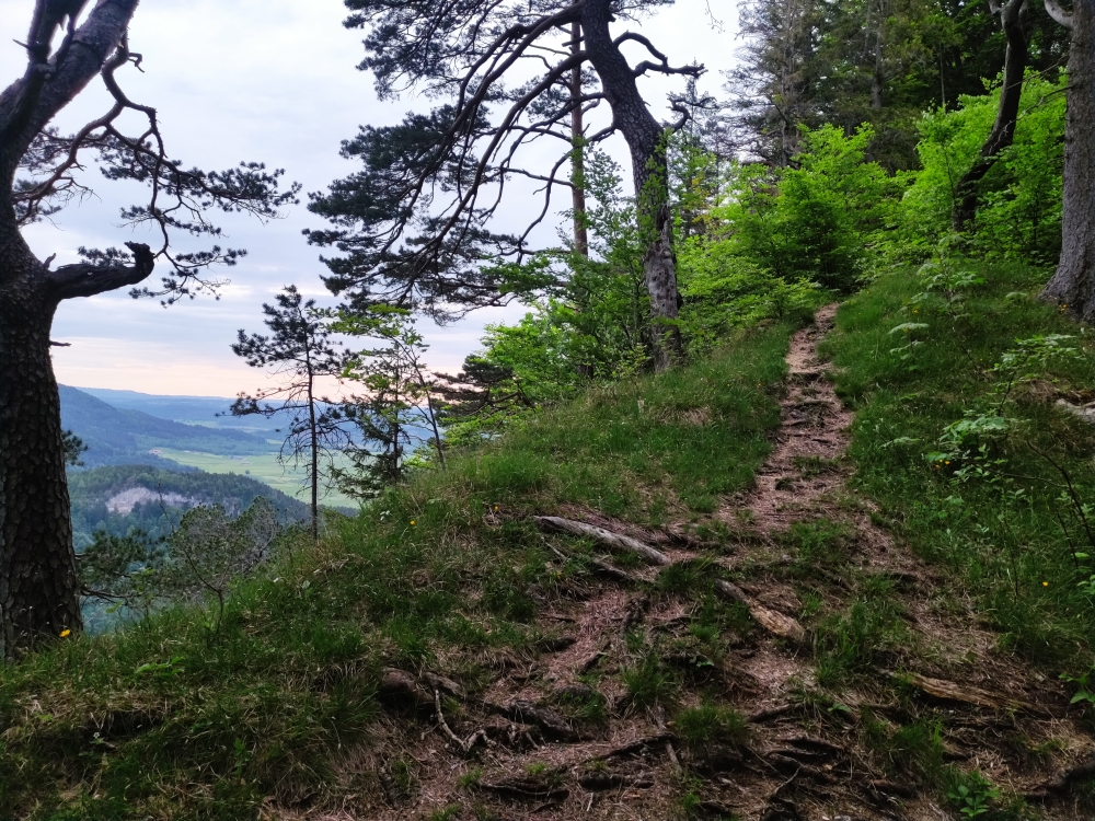Wanderung Höhenberg: Ein kleiner Trampelpfad