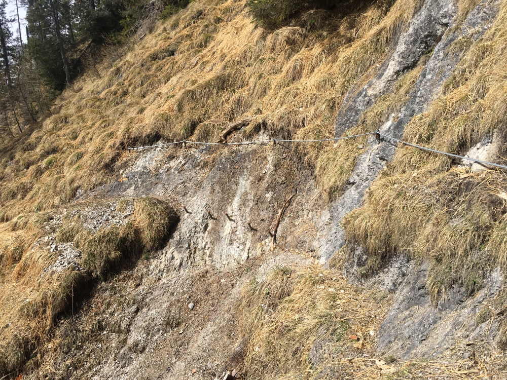Wanderung Höhenweg Vorderriß: Der Höhenweg ist teilweise mit Drahtseilen gesichert