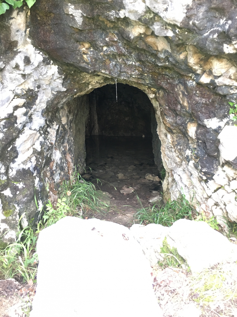 Wanderung Marmitta dei Giganti Granda: Wanderung Marmitta dei Giganti Granda: Höhle am Wegrand (innen steht Wasser)