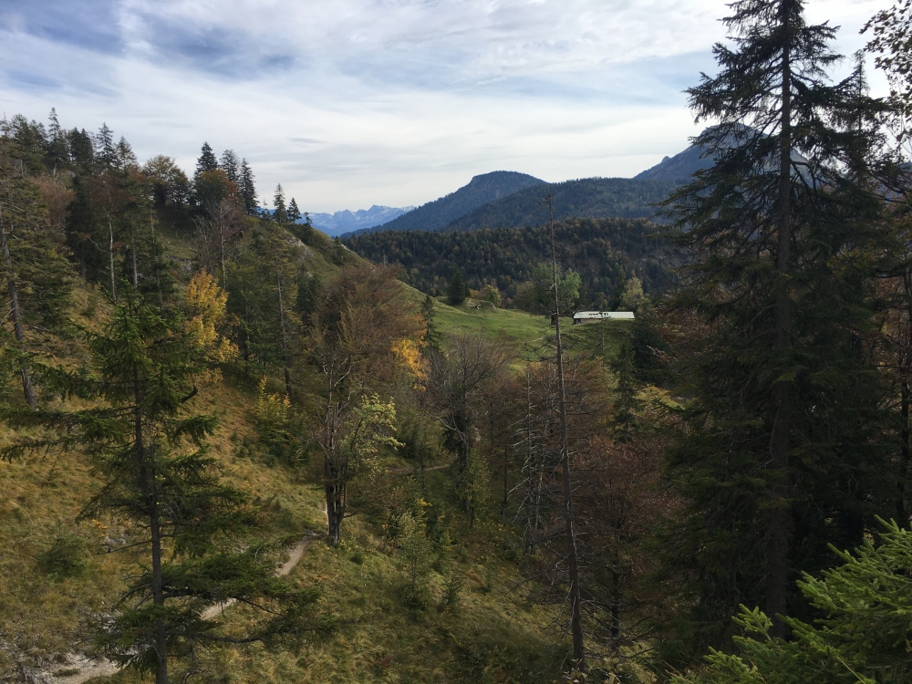 Hölleialm: Hölleialm