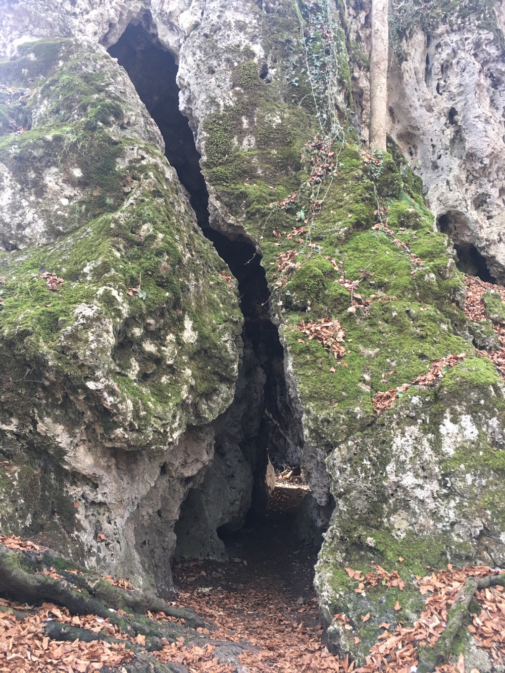Wanderung Engelstein und Bairerkopf: Wanderung Engelstein und Bairerkopf: Höllloch-Eingang