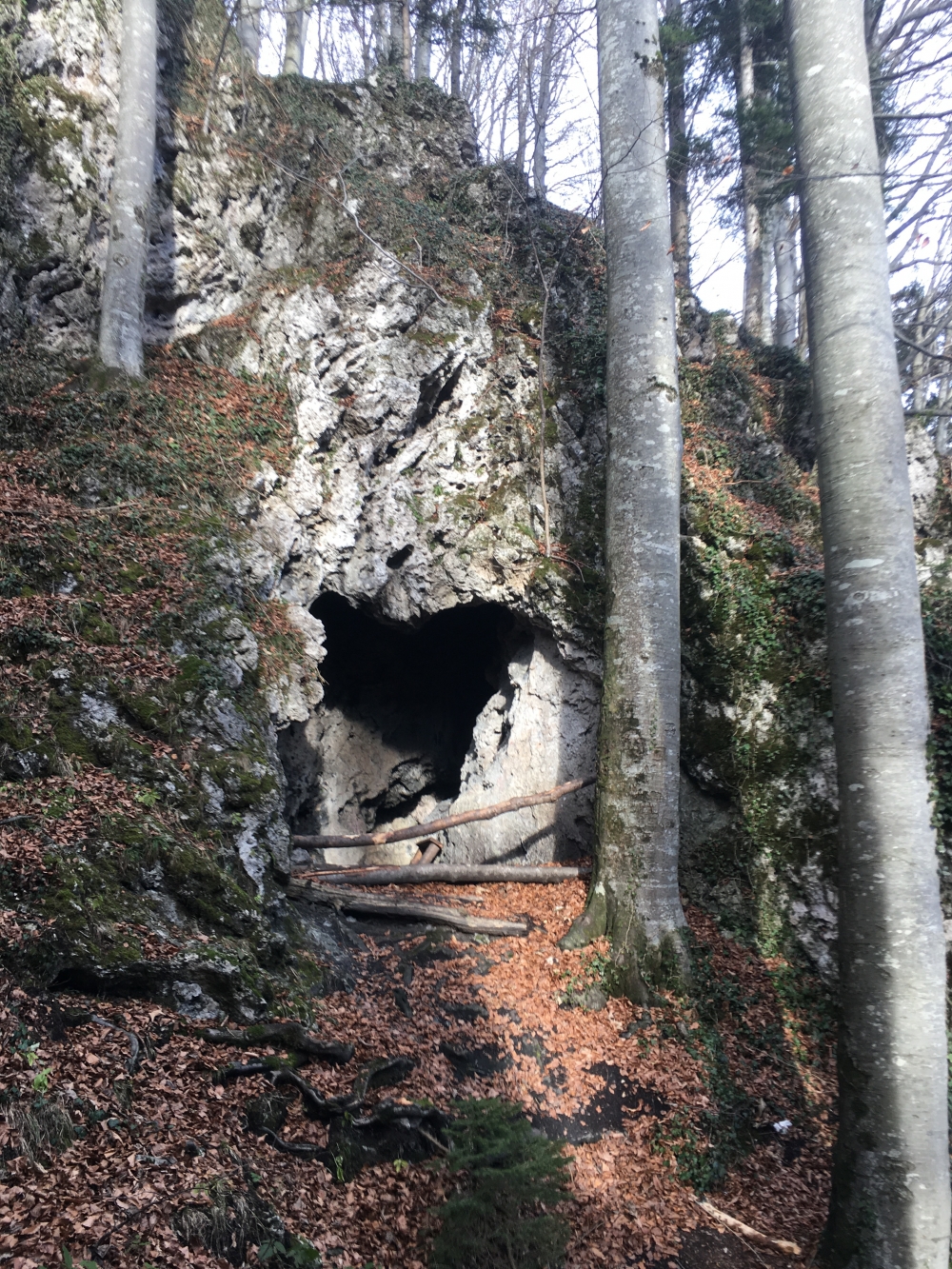 Wanderung Engelstein und Bairerkopf: Wanderung Engelstein und Bairerkopf: Höllloch-Ausgang