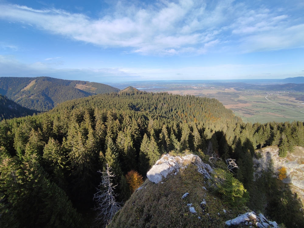 Wanderung Latschenköpferl zum Schoberwaldkreuz: Wanderung Latschenköpferl zum Schoberwaldkreuz: Am Gipfel (Höllstein)