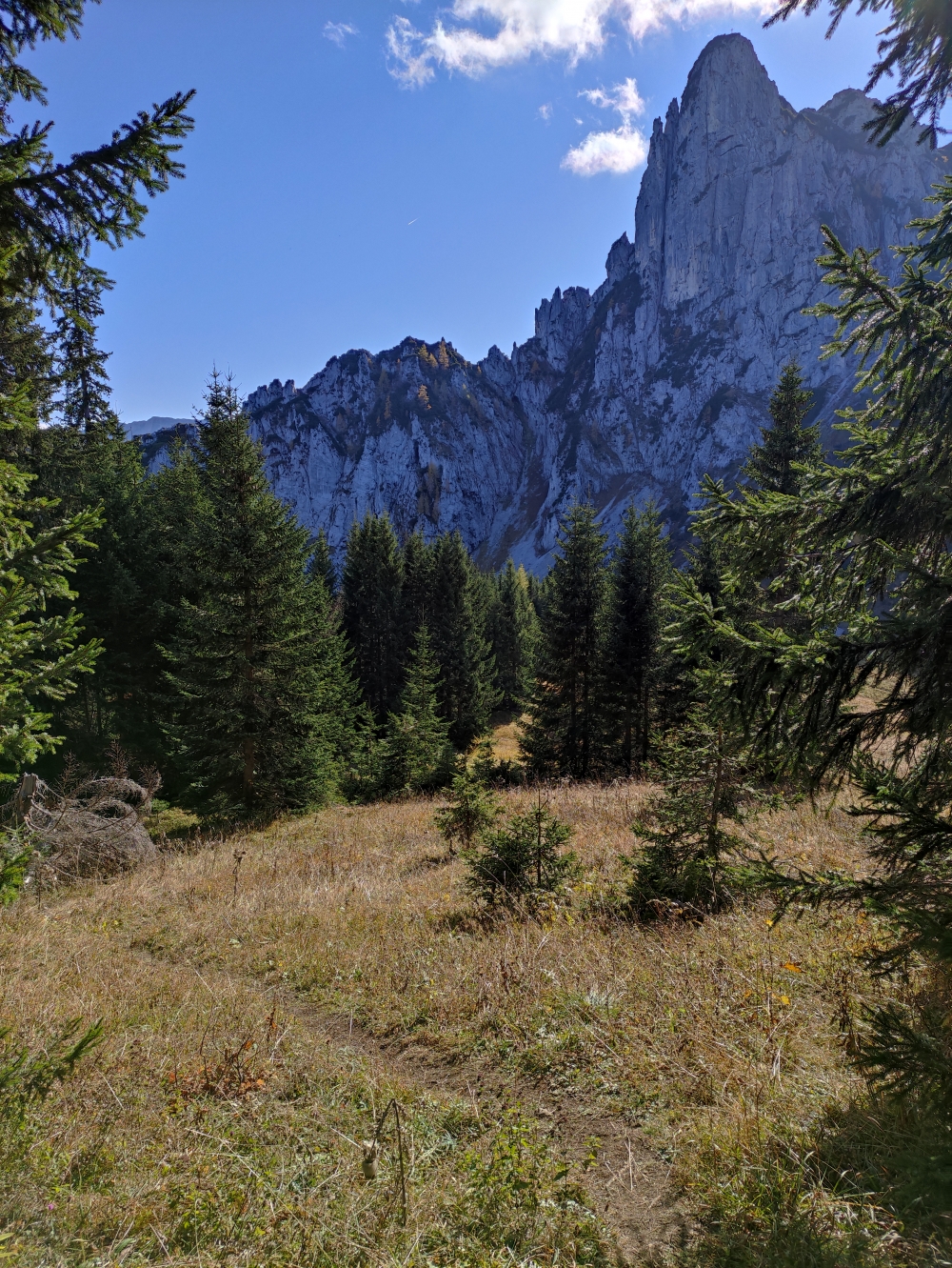 Wanderung Hörndlwand Ostgipfel: Der nicht markierte aber sehr deutlich erkennbare Pfad mit Blick zur Hörndlwand (Ostgipfel)