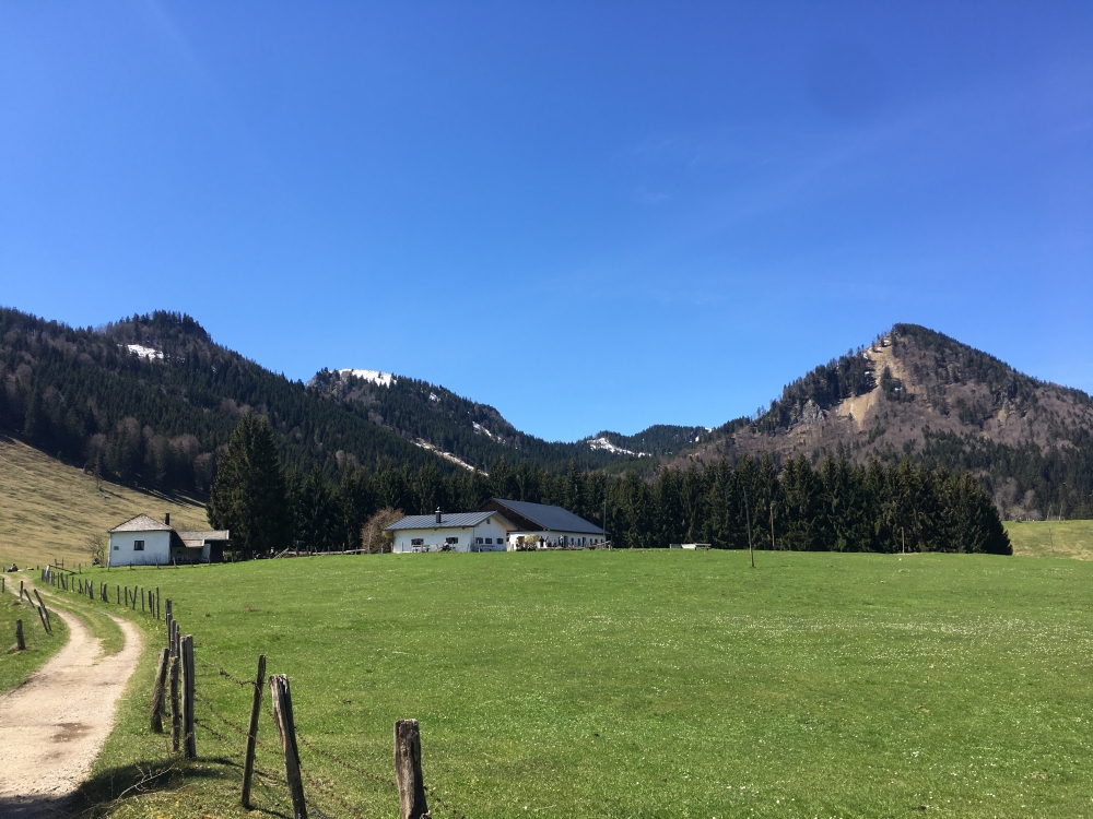 Wanderung Zellerwand: Wanderung Zellerwand: Hofalm