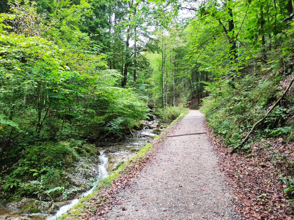 Wanderung Sonnwendwand: Durch den Klausgraben