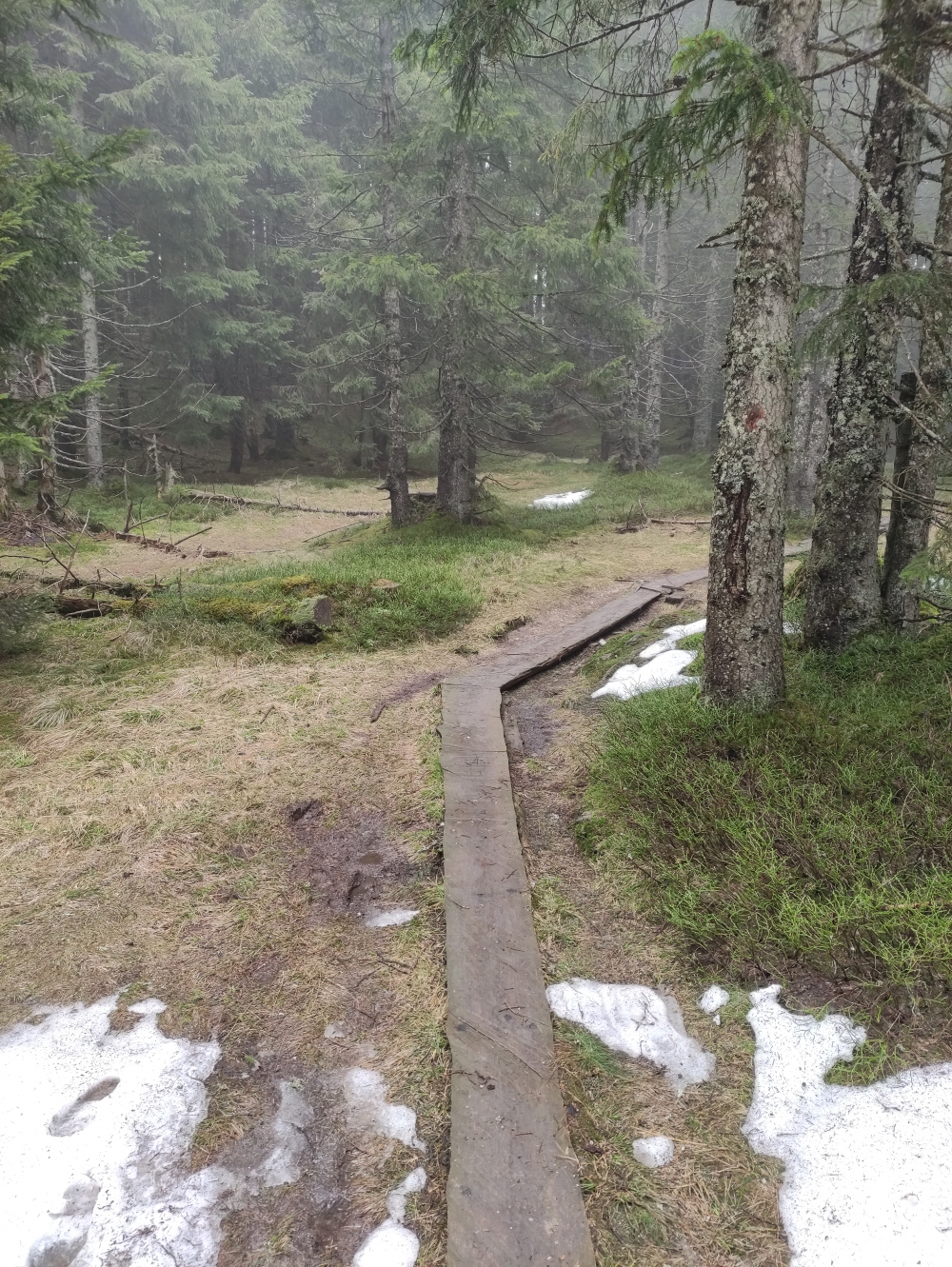Bike & Hike Hohe Bleick: Bohlen helfen über die feuchtesten Stellen