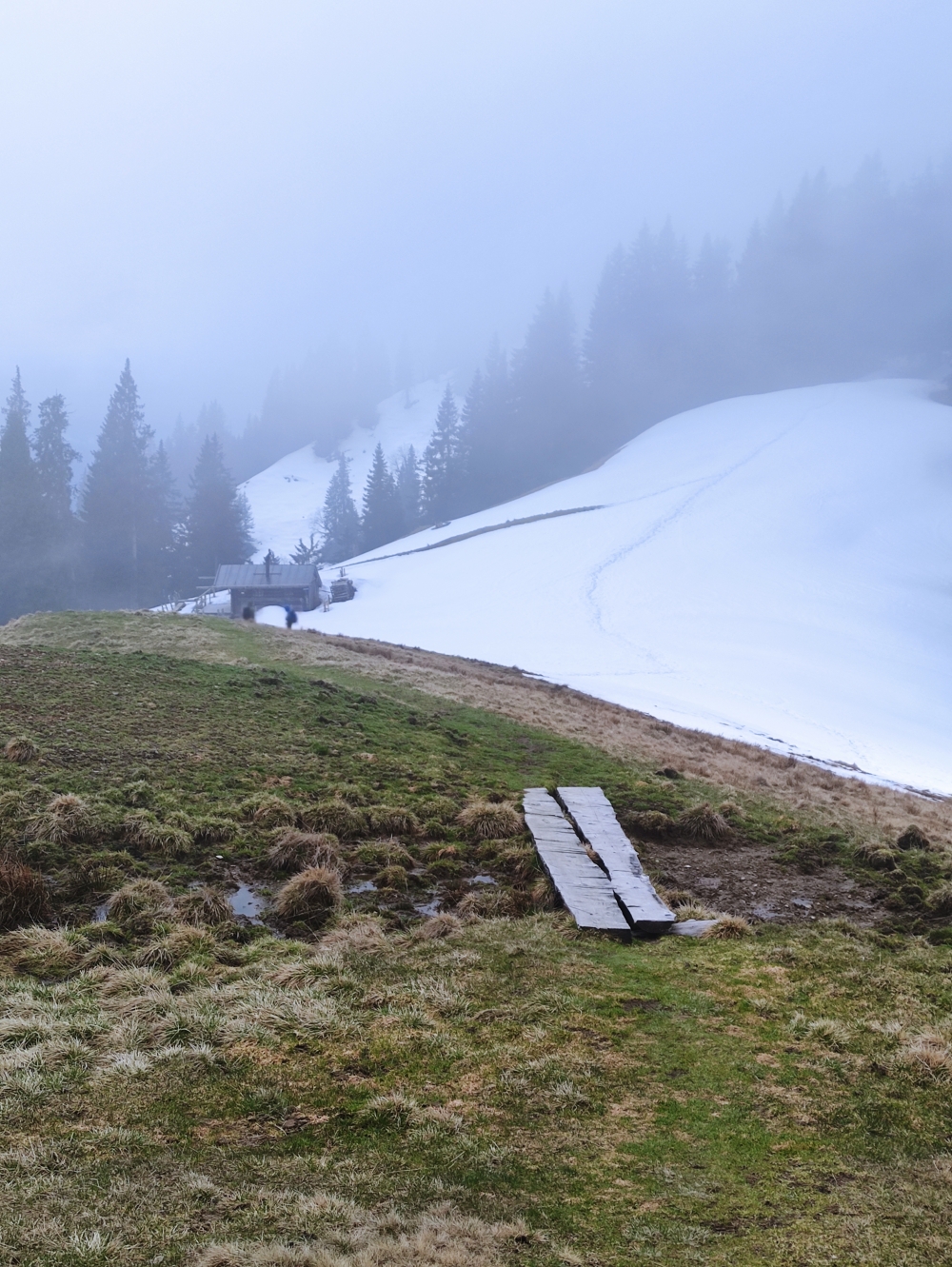 Bike & Hike Hohe Bleick: Weg