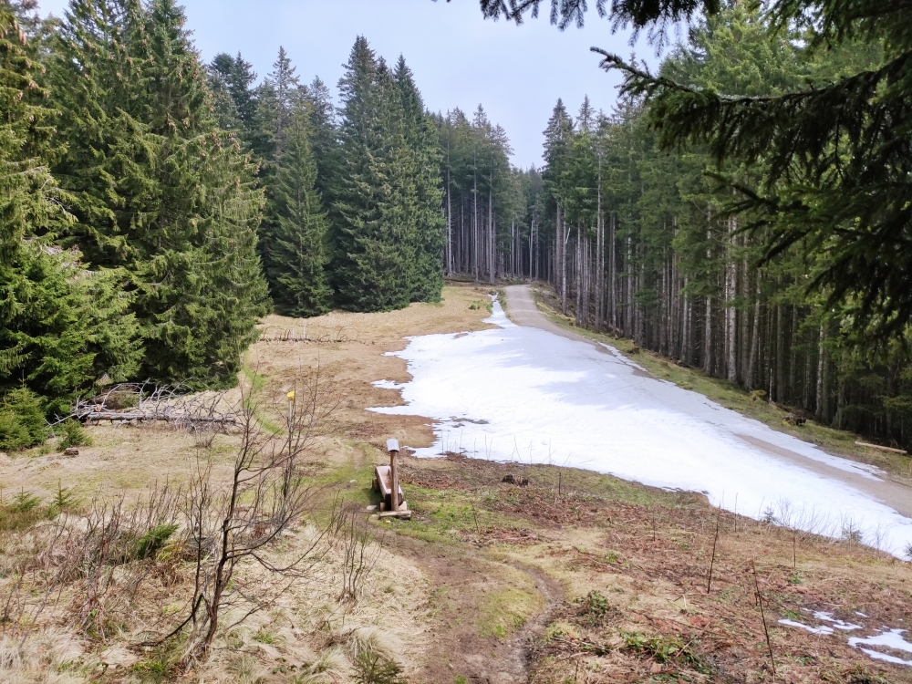 Bike & Hike Hohe Bleick: Bike & Hike Hohe Bleick: Sattel