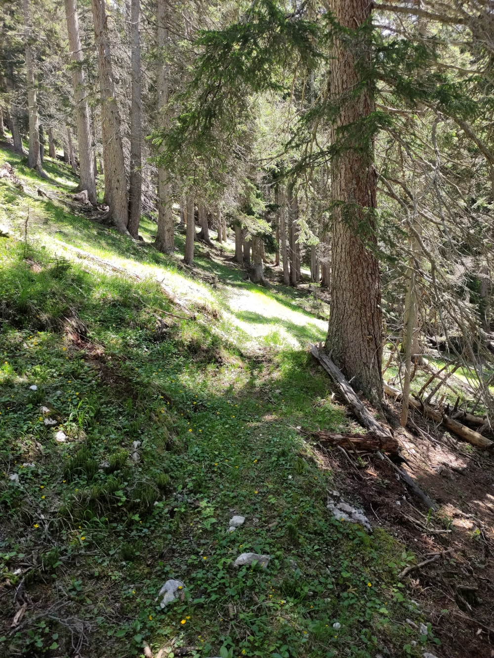 Wanderung Hoher Gleirsch: Im Mittelteil noch erkennbarer Weg anhand der Geländeform