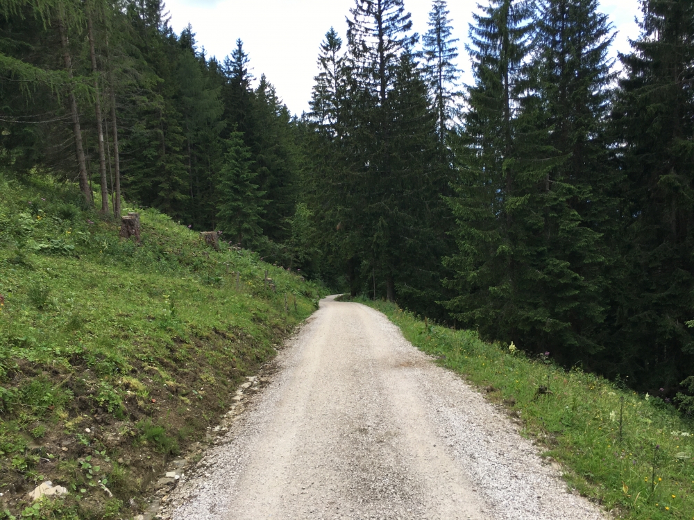 Klettersteig Hoher Göll: Forststraße